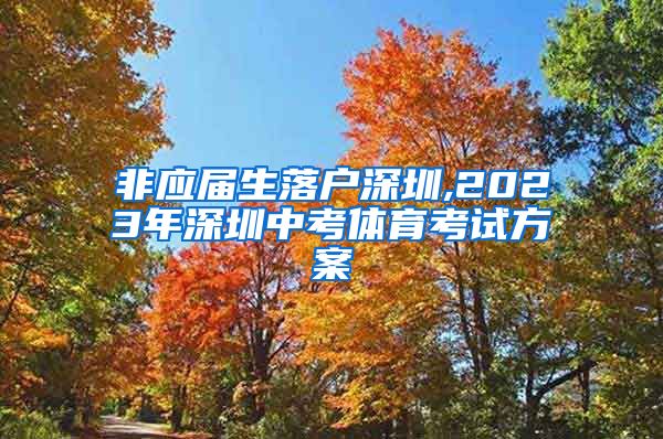 非应届生落户深圳,2023年深圳中考体育考试方案