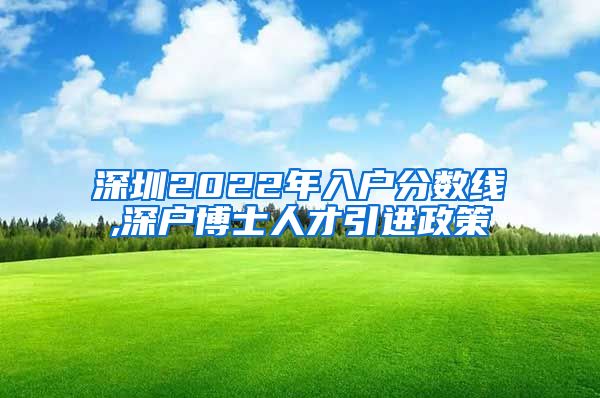 深圳2022年入户分数线,深户博士人才引进政策