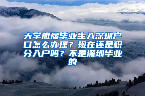 大学应届毕业生入深圳户口怎么办理？现在还是积分入户吗？不是深圳毕业的