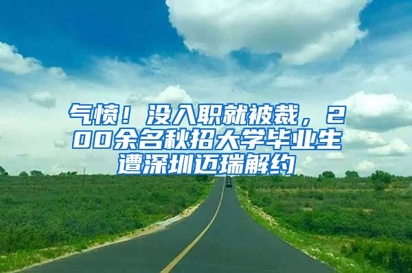 气愤！没入职就被裁，200余名秋招大学毕业生遭深圳迈瑞解约