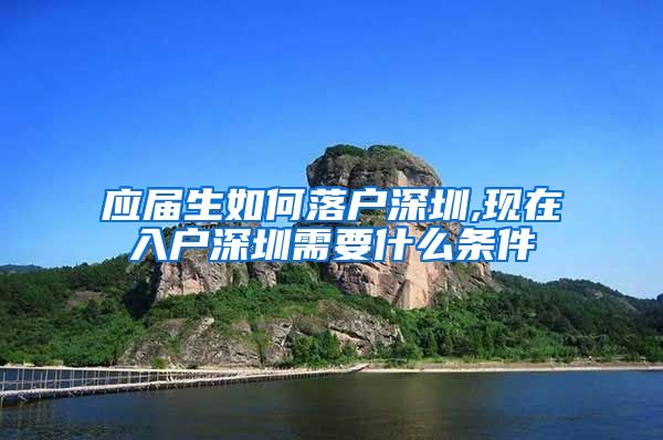 应届生如何落户深圳,现在入户深圳需要什么条件