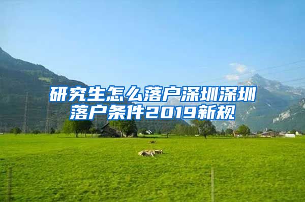 研究生怎么落户深圳深圳落户条件2019新规