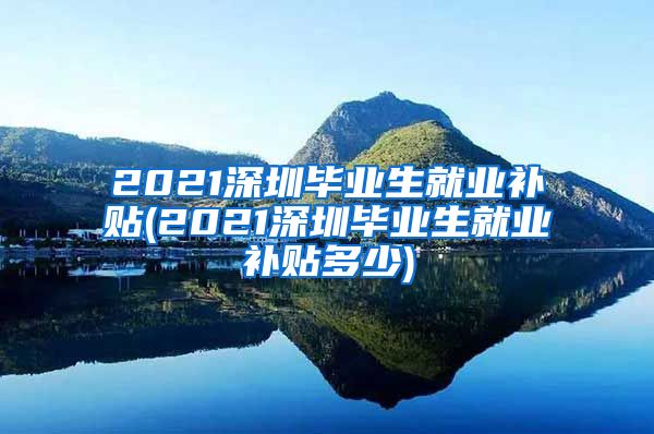 2021深圳毕业生就业补贴(2021深圳毕业生就业补贴多少)