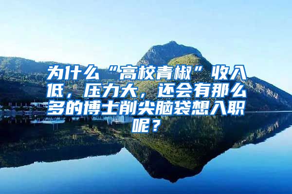 为什么“高校青椒”收入低，压力大，还会有那么多的博士削尖脑袋想入职呢？