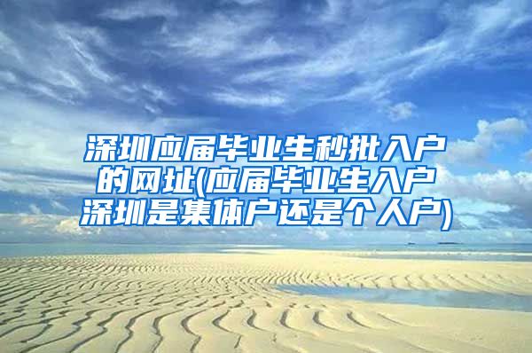 深圳应届毕业生秒批入户的网址(应届毕业生入户深圳是集体户还是个人户)