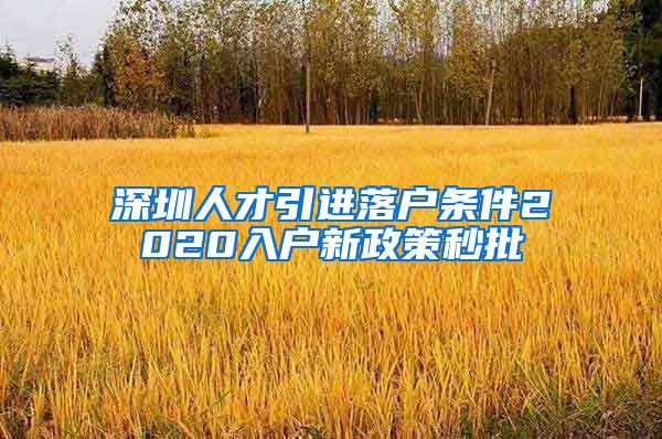 深圳人才引进落户条件2020入户新政策秒批