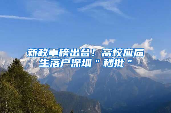 新政重磅出台！高校应届生落户深圳＂秒批＂