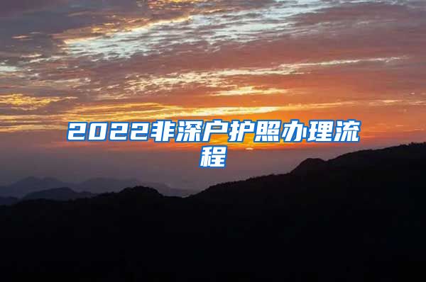 2022非深户护照办理流程