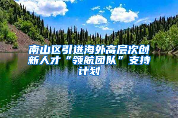 南山区引进海外高层次创新人才“领航团队”支持计划