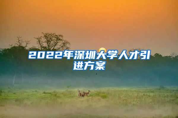 2022年深圳大学人才引进方案