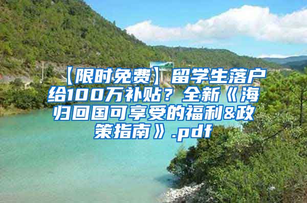 【限时免费】留学生落户给100万补贴？全新《海归回国可享受的福利&政策指南》.pdf