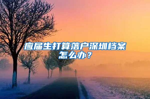 应届生打算落户深圳档案怎么办？