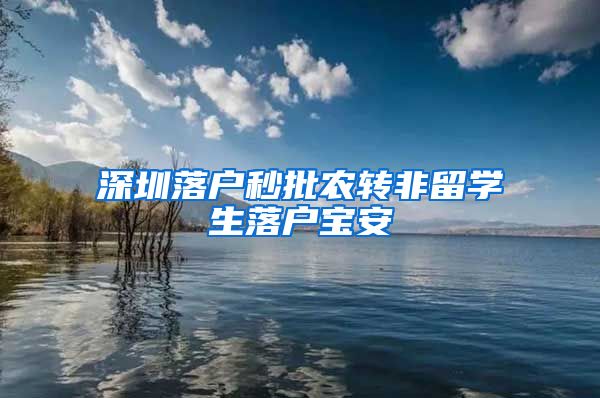 深圳落户秒批农转非留学生落户宝安