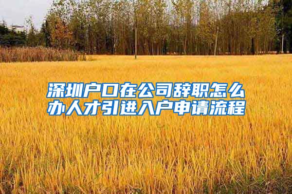 深圳户口在公司辞职怎么办人才引进入户申请流程