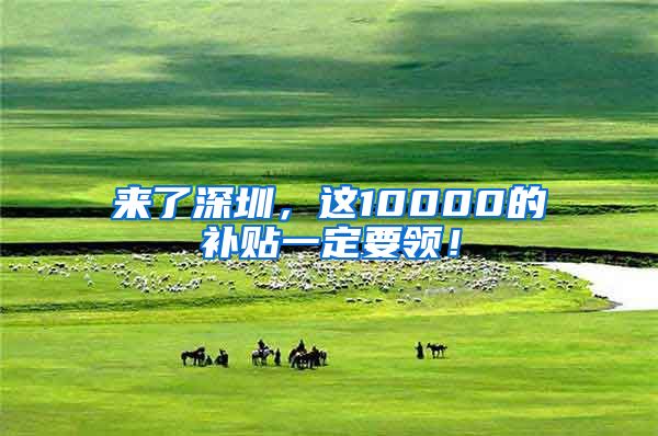 来了深圳，这10000的补贴一定要领！