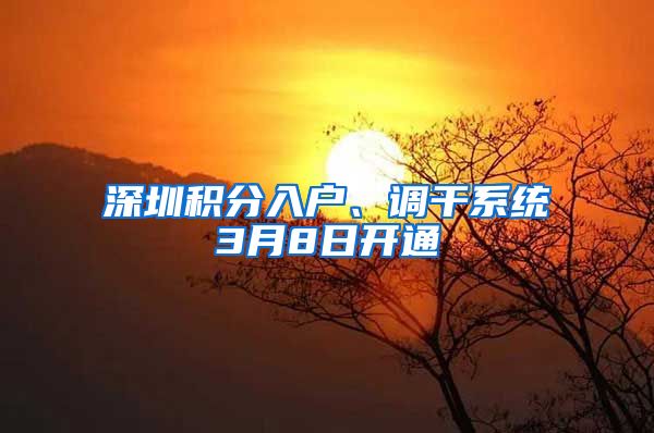 深圳积分入户、调干系统3月8日开通