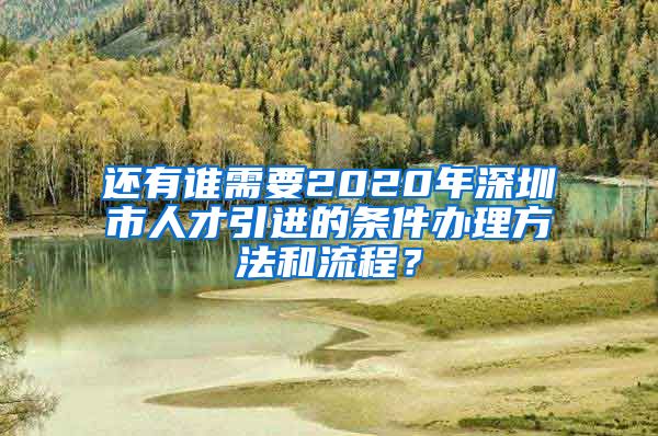 还有谁需要2020年深圳市人才引进的条件办理方法和流程？