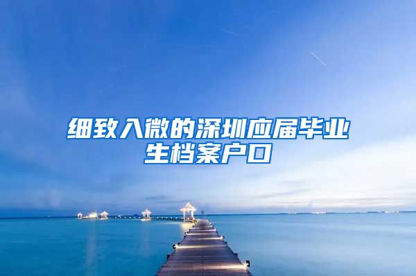 细致入微的深圳应届毕业生档案户口