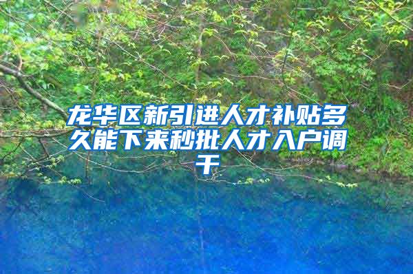 龙华区新引进人才补贴多久能下来秒批人才入户调干