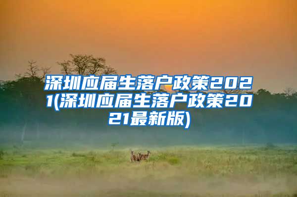 深圳应届生落户政策2021(深圳应届生落户政策2021最新版)