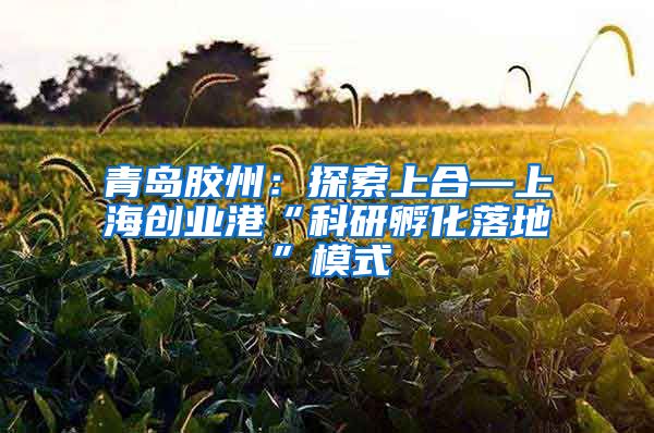 青岛胶州：探索上合—上海创业港“科研孵化落地”模式