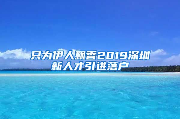 只为伊人飘香2019深圳新人才引进落户