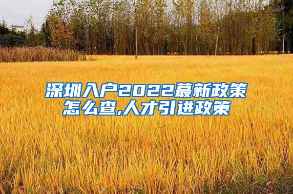 深圳入户2022蕞新政策怎么查,人才引进政策