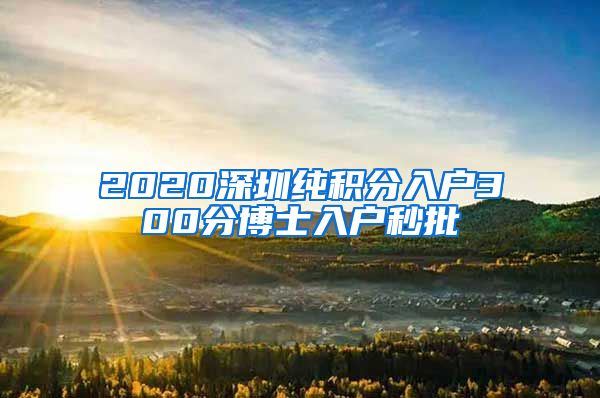 2020深圳纯积分入户300分博士入户秒批