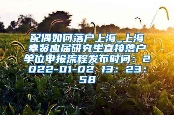 配偶如何落户上海_上海奉贤应届研究生直接落户单位申报流程发布时间：2022-01-02 13：23：58