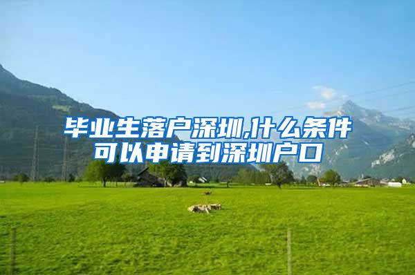 毕业生落户深圳,什么条件可以申请到深圳户口