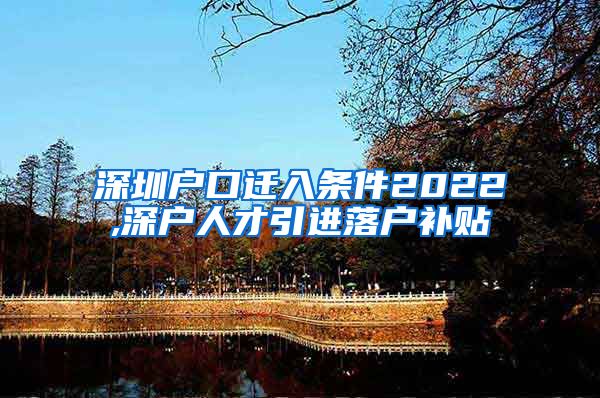 深圳户口迁入条件2022,深户人才引进落户补贴