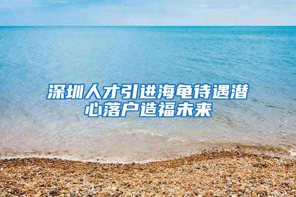 深圳人才引进海龟待遇潜心落户造福未来