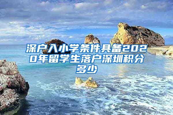 深户入小学条件具备2020年留学生落户深圳积分多少