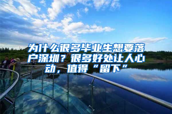 为什么很多毕业生想要落户深圳？很多好处让人心动，值得“留下”