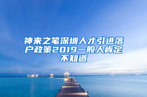 神来之笔深圳人才引进落户政策2019一般人肯定不知道