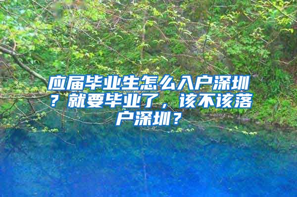 应届毕业生怎么入户深圳？就要毕业了，该不该落户深圳？