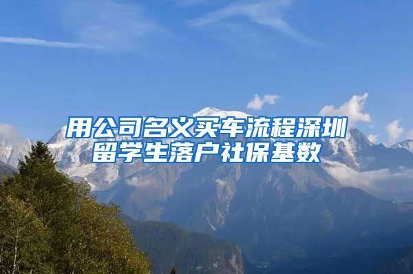 用公司名义买车流程深圳留学生落户社保基数