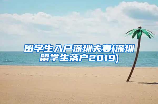 留学生入户深圳夫妻(深圳留学生落户2019)