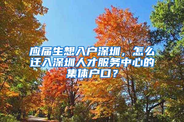 应届生想入户深圳，怎么迁入深圳人才服务中心的集体户口？