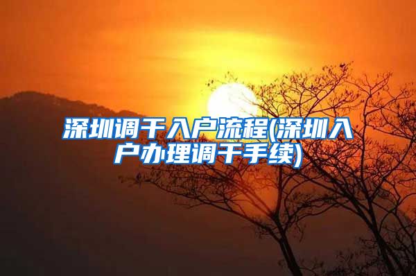 深圳调干入户流程(深圳入户办理调干手续)