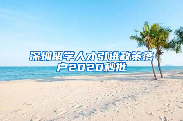 深圳留学人才引进政策落户2020秒批