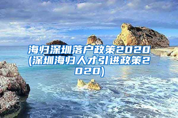 海归深圳落户政策2020(深圳海归人才引进政策2020)