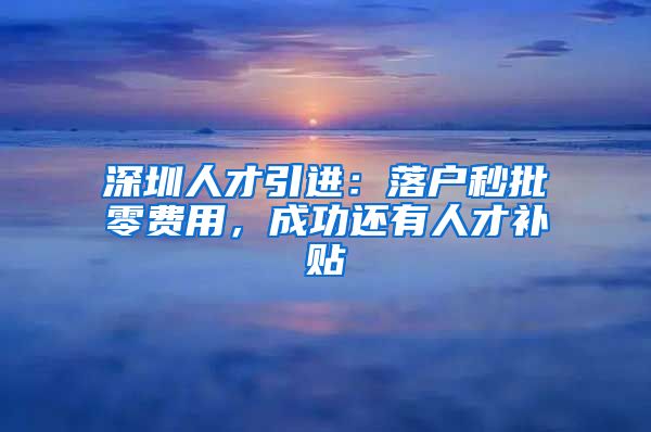 深圳人才引进：落户秒批零费用，成功还有人才补贴