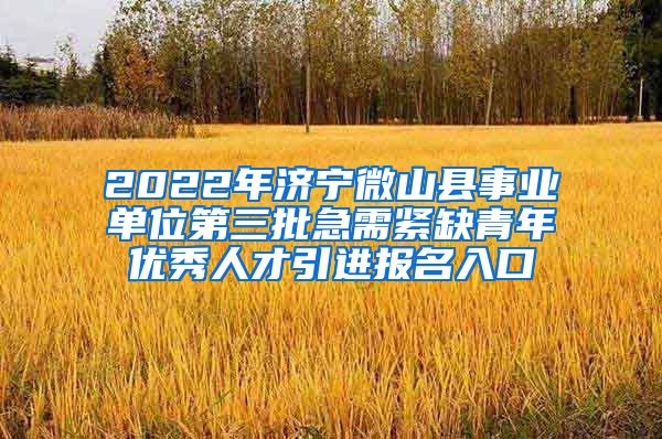 2022年济宁微山县事业单位第三批急需紧缺青年优秀人才引进报名入口