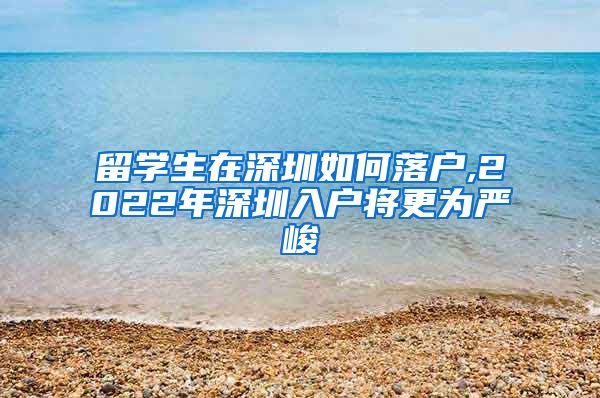 留学生在深圳如何落户,2022年深圳入户将更为严峻