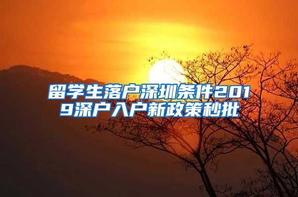 留学生落户深圳条件2019深户入户新政策秒批