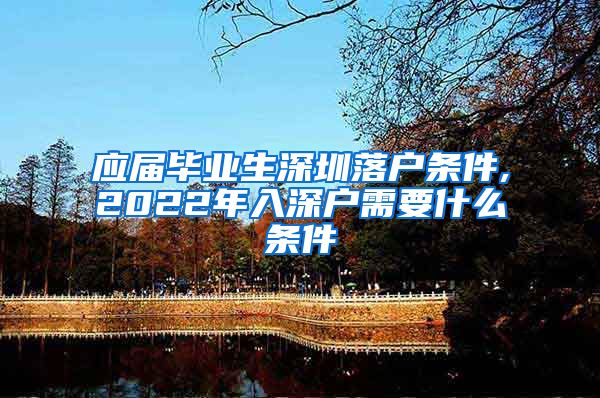 应届毕业生深圳落户条件,2022年入深户需要什么条件