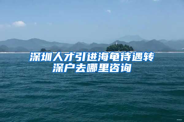 深圳人才引进海龟待遇转深户去哪里咨询