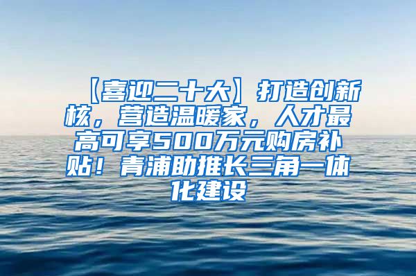 【喜迎二十大】打造创新核，营造温暖家，人才最高可享500万元购房补贴！青浦助推长三角一体化建设