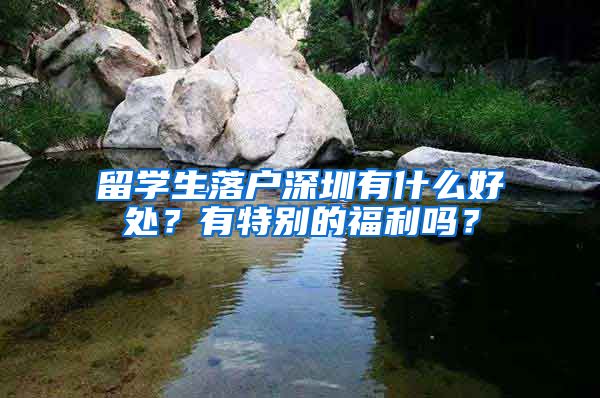 留学生落户深圳有什么好处？有特别的福利吗？